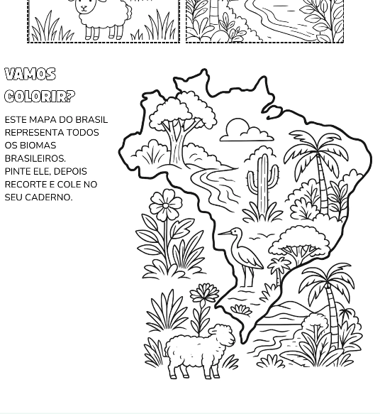 biomas brasileiros para colorir