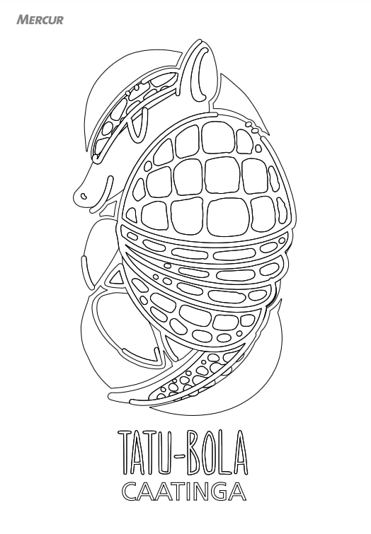 biomas brasileiros para colorir pdf grátis