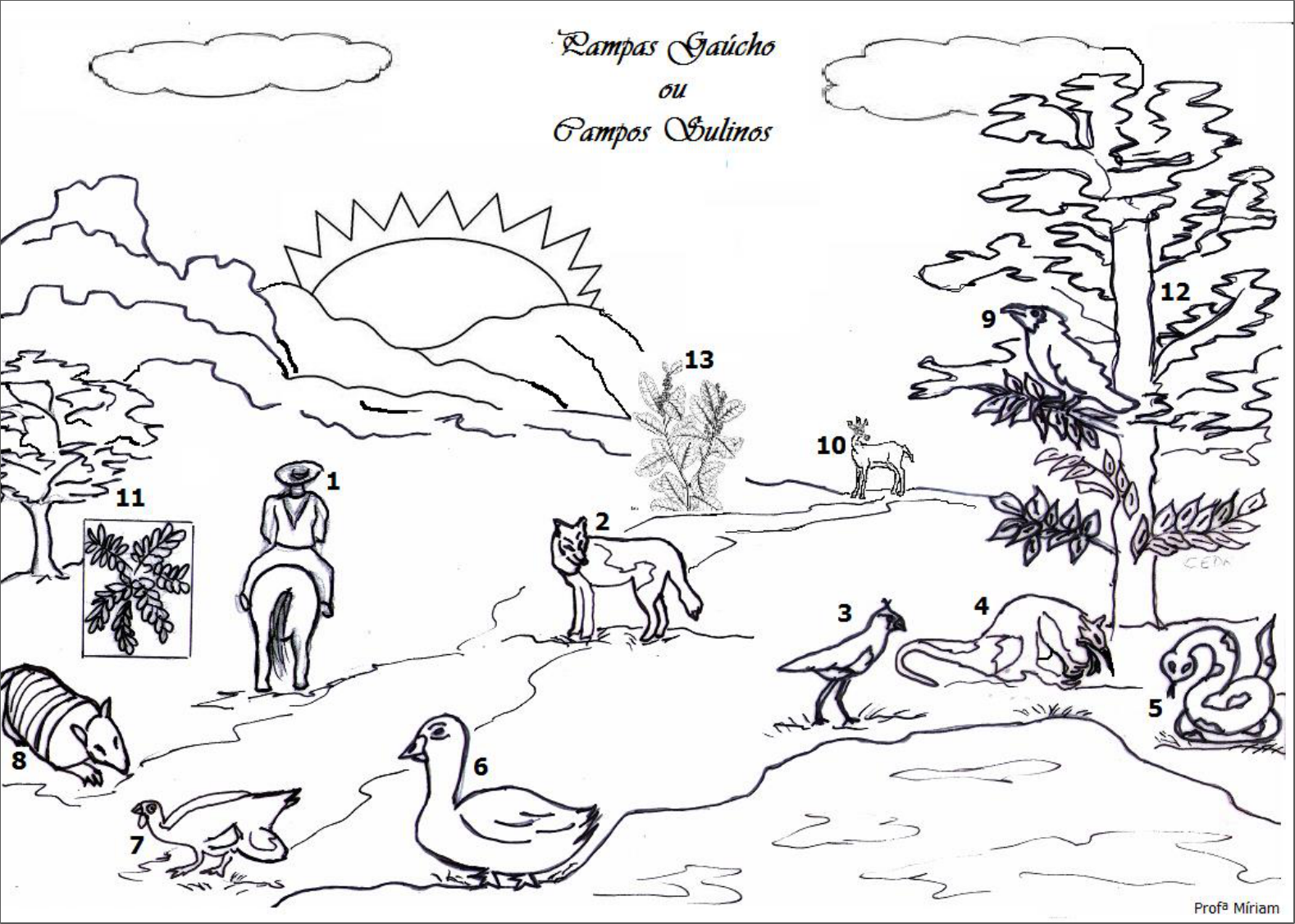 erros comuns ao colorir animais brasileiros