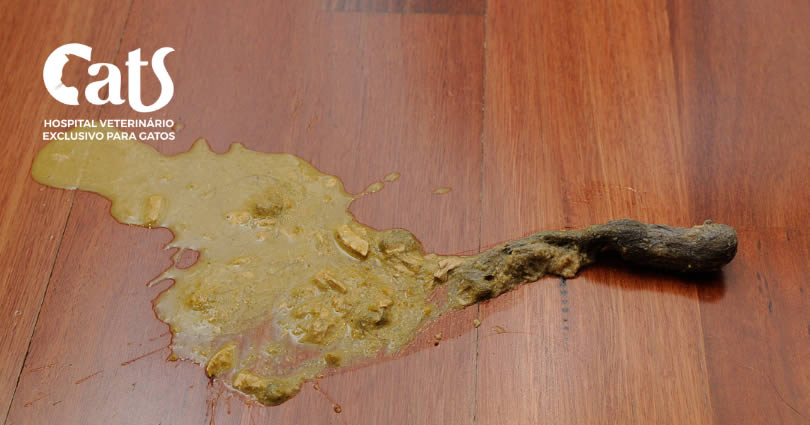 Bolas De Pelo Em Gatos