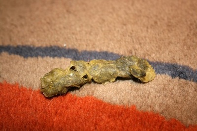 5 Sinais de Alerta de Obstrução Intestinal por Bola de Pelo em Gatos