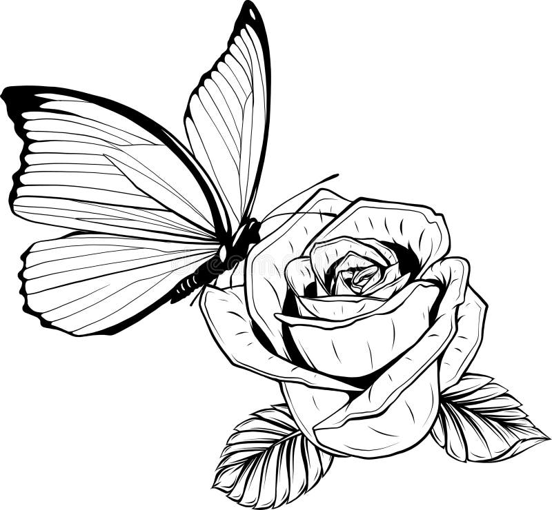 tatuagem borboleta feminina