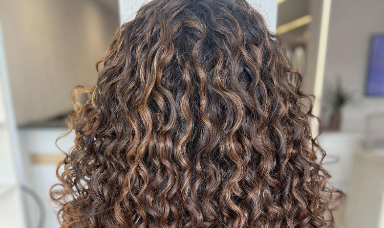 inspiração cabelo morena iluminada cacheado