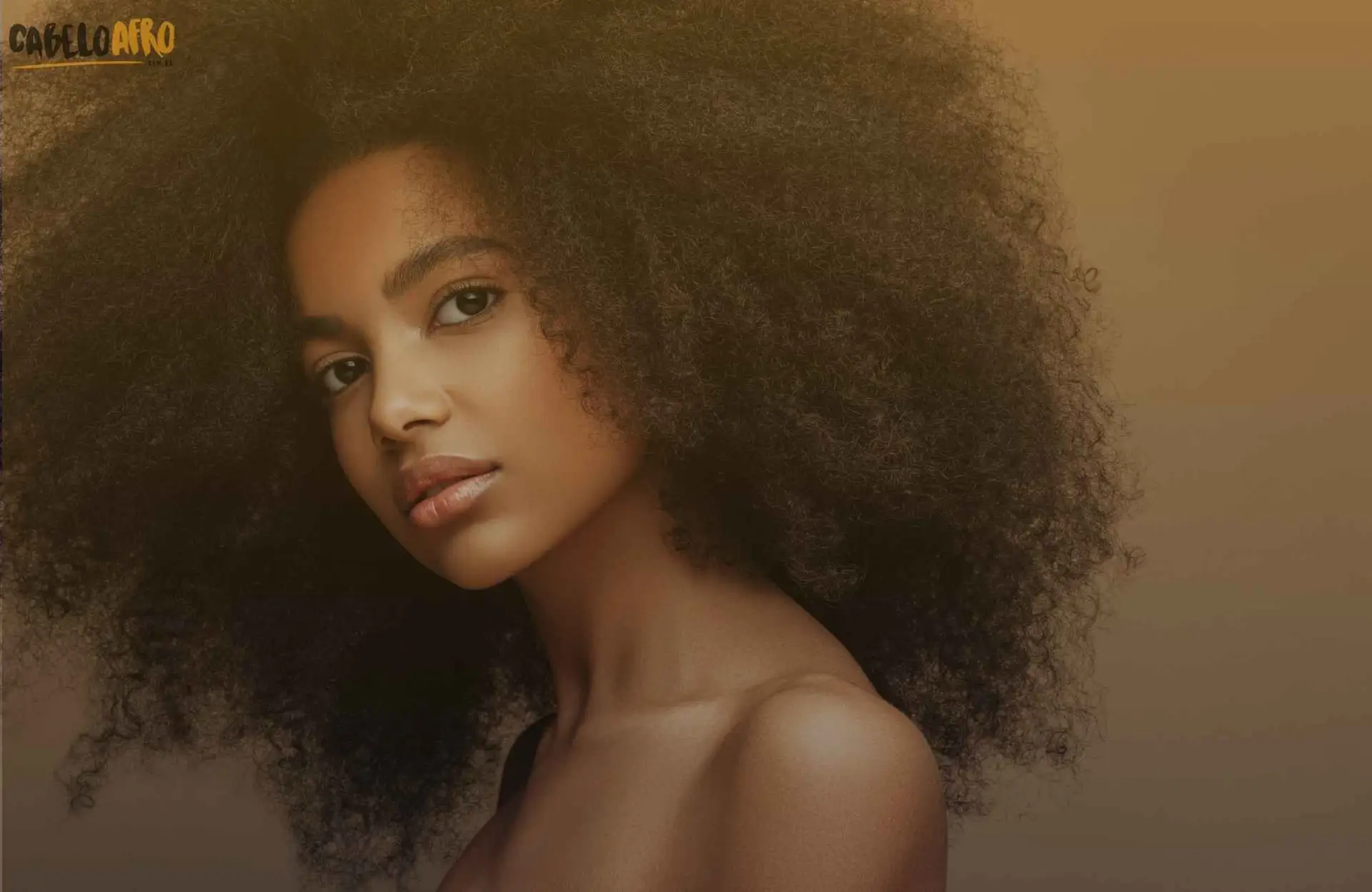 Black Power: História, Estilos e Dicas de Manutenção