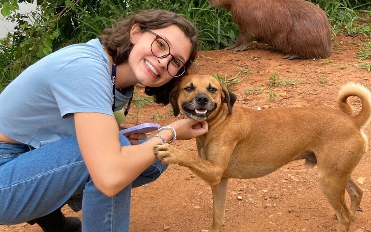 Guia completo de adoção responsável