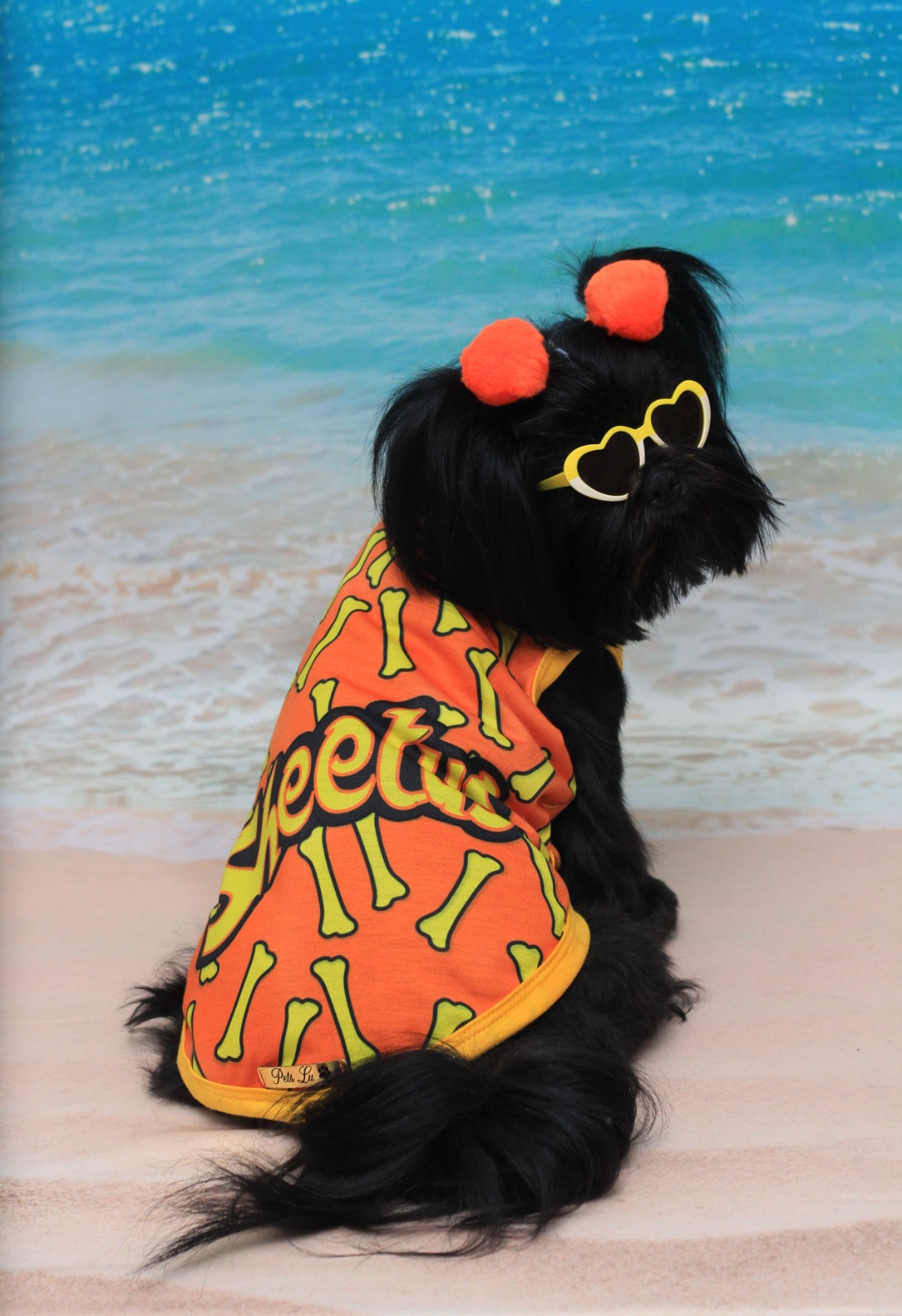 o que acontece se o cachorro comer cheetos