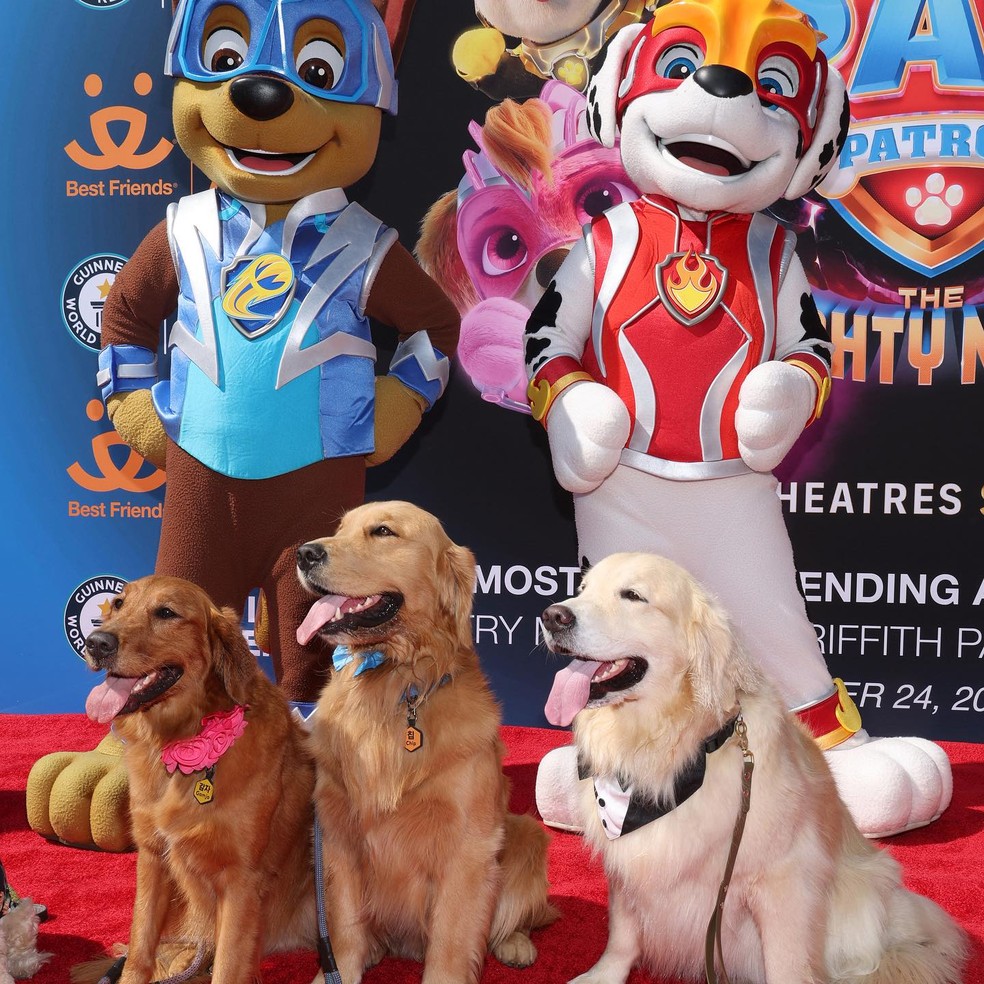 A História Completa da Patrulha Canina