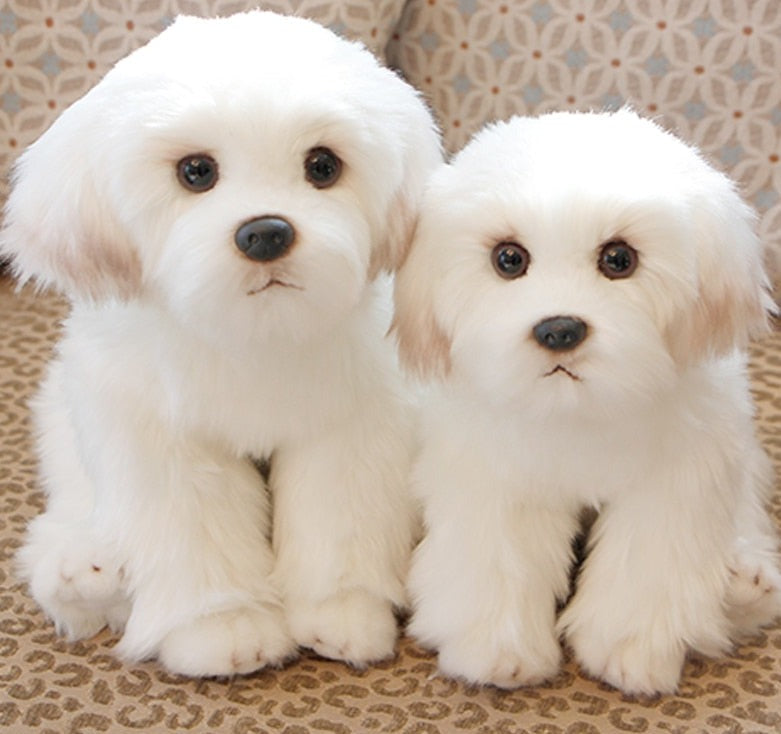 pelúcia de cachorro interativa para crianças