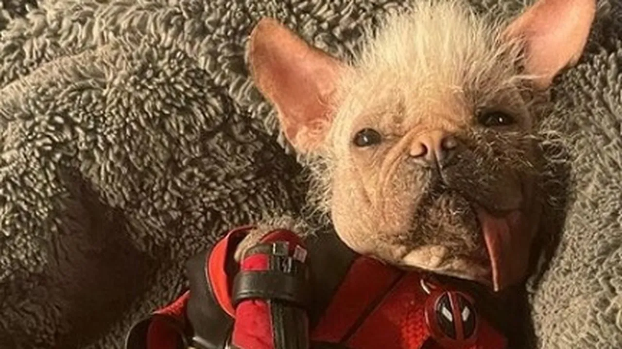 dogpool deadpool wolverine