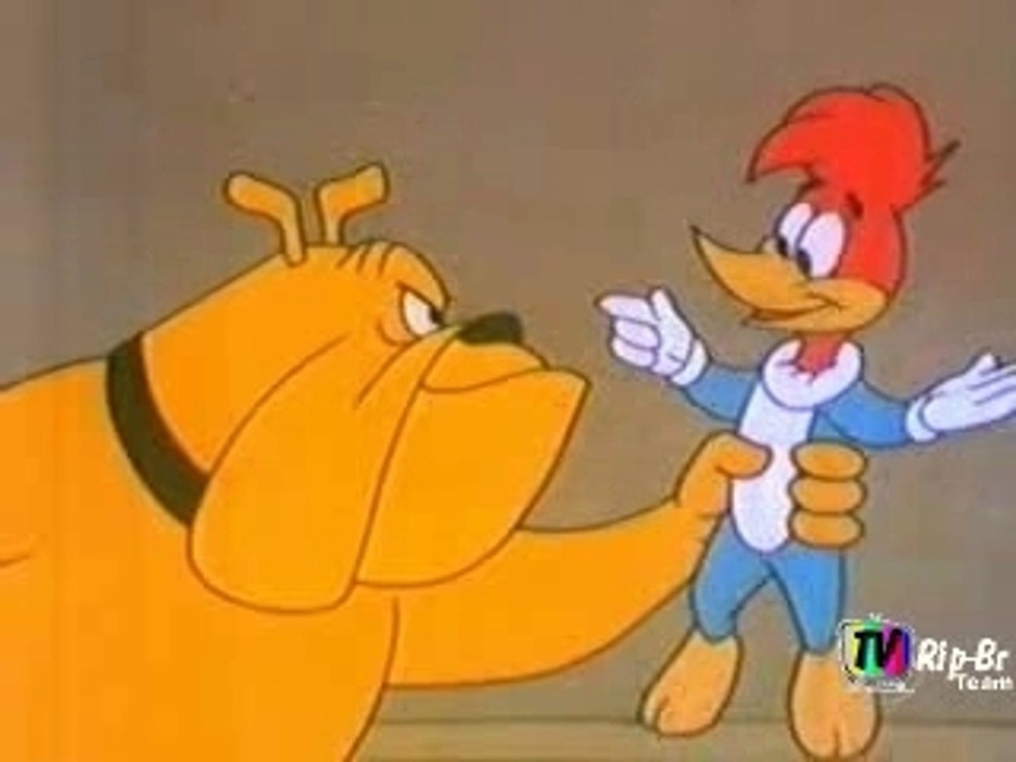 Entenda a relação do Pica-Pau com seus animais de estimação