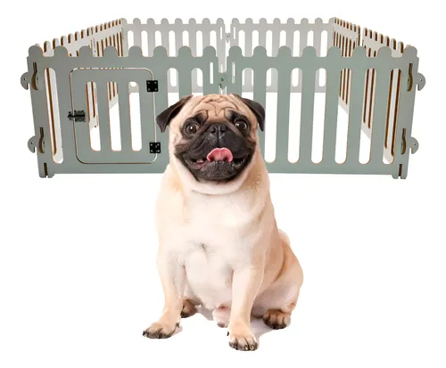 cachorro e outros pets