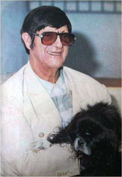 Como o Espiritismo Explica a Reencarnação de Animais de Estimação