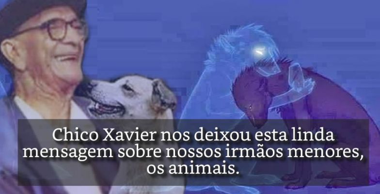 Allan Kardec e a Alma dos Animais: Entenda o Princípio Inteligente