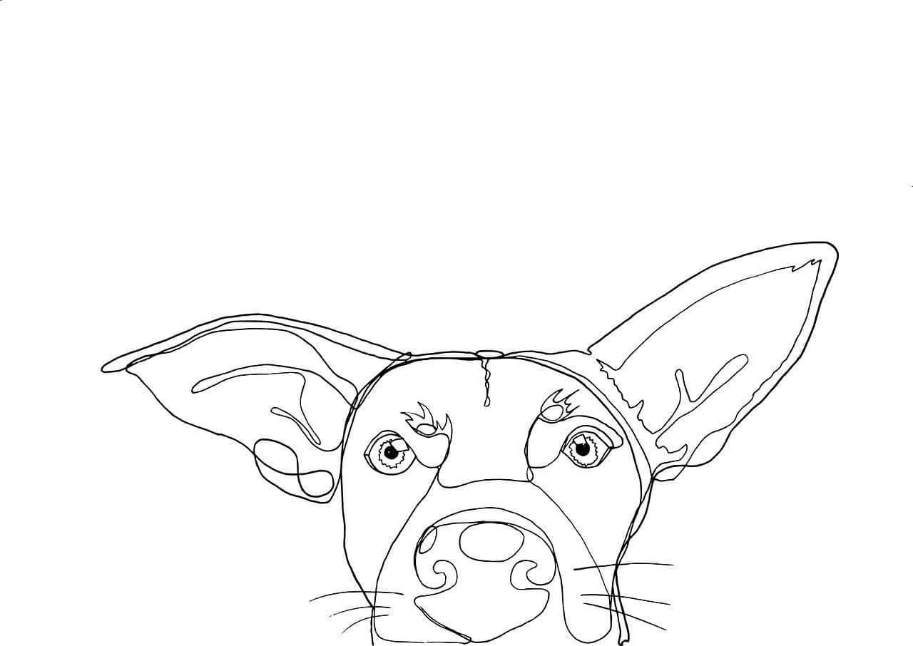 5 Estilos de Desenho de Cachorro para Experimentar