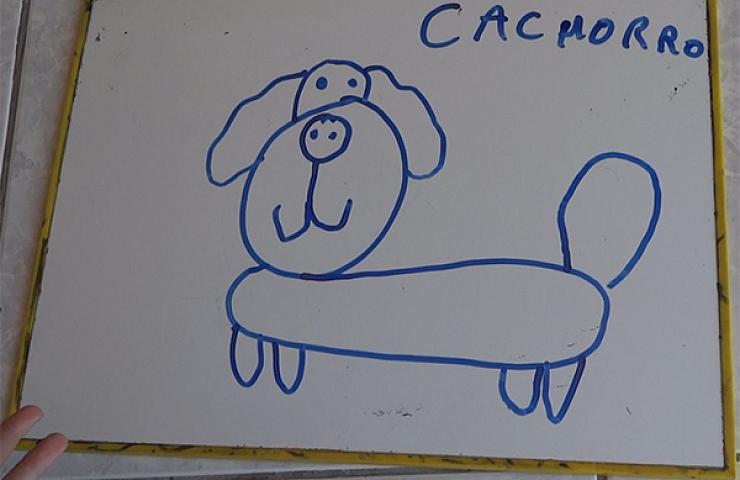 cachorro para desenhar