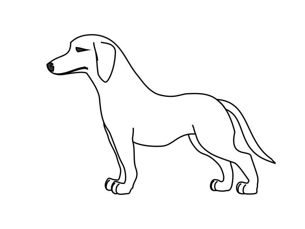 Guia Completo: Como Desenhar um Cachorro Realista