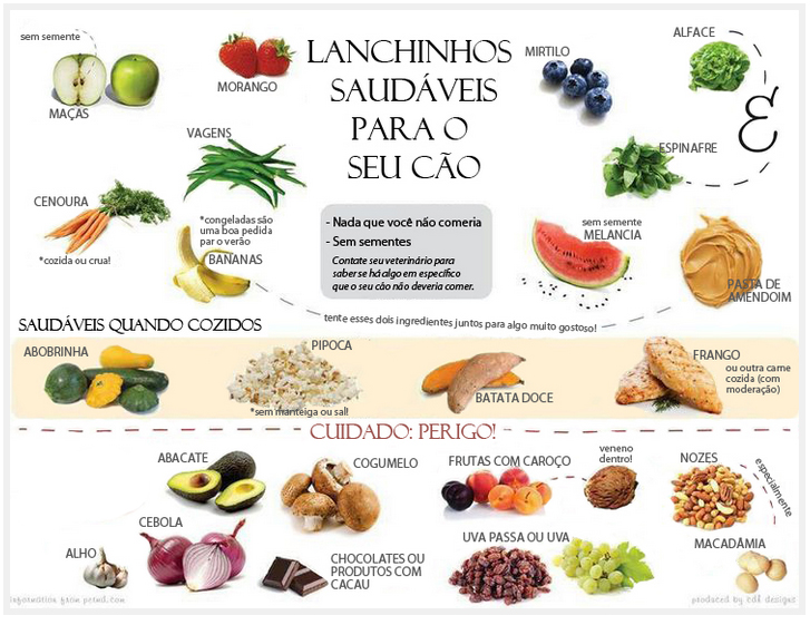 cachorro comeu alho o que fazer