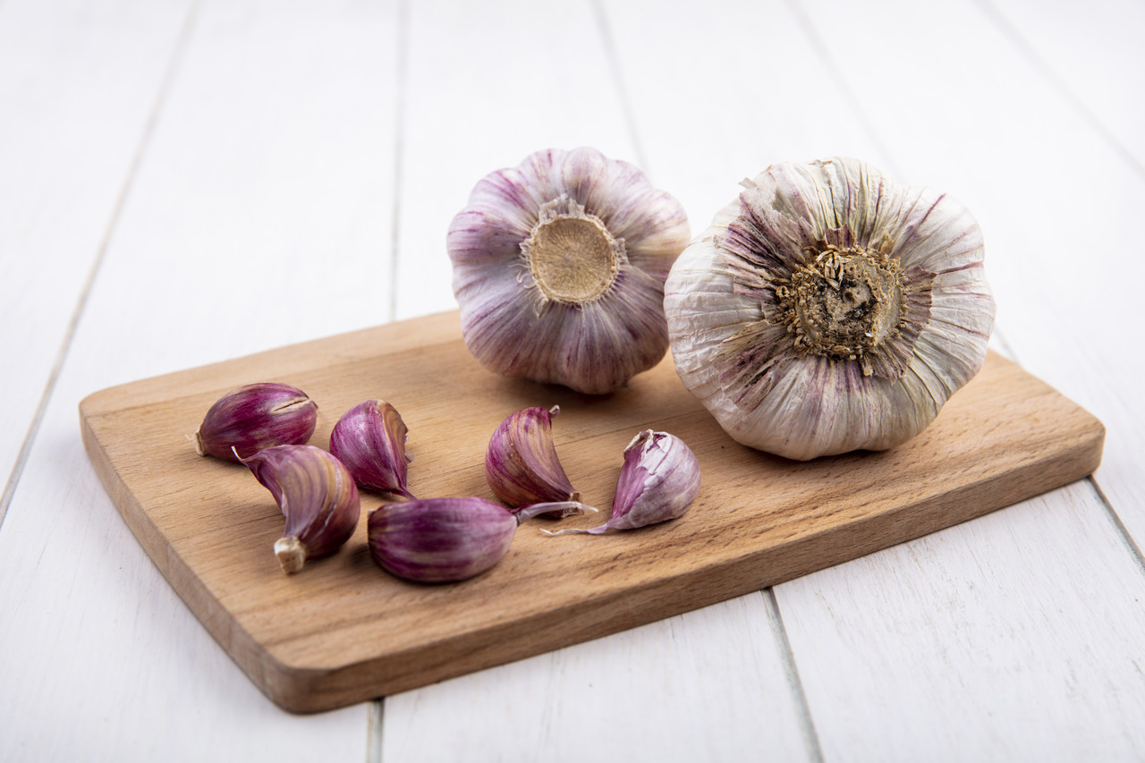 sintomas intoxicação alho cães