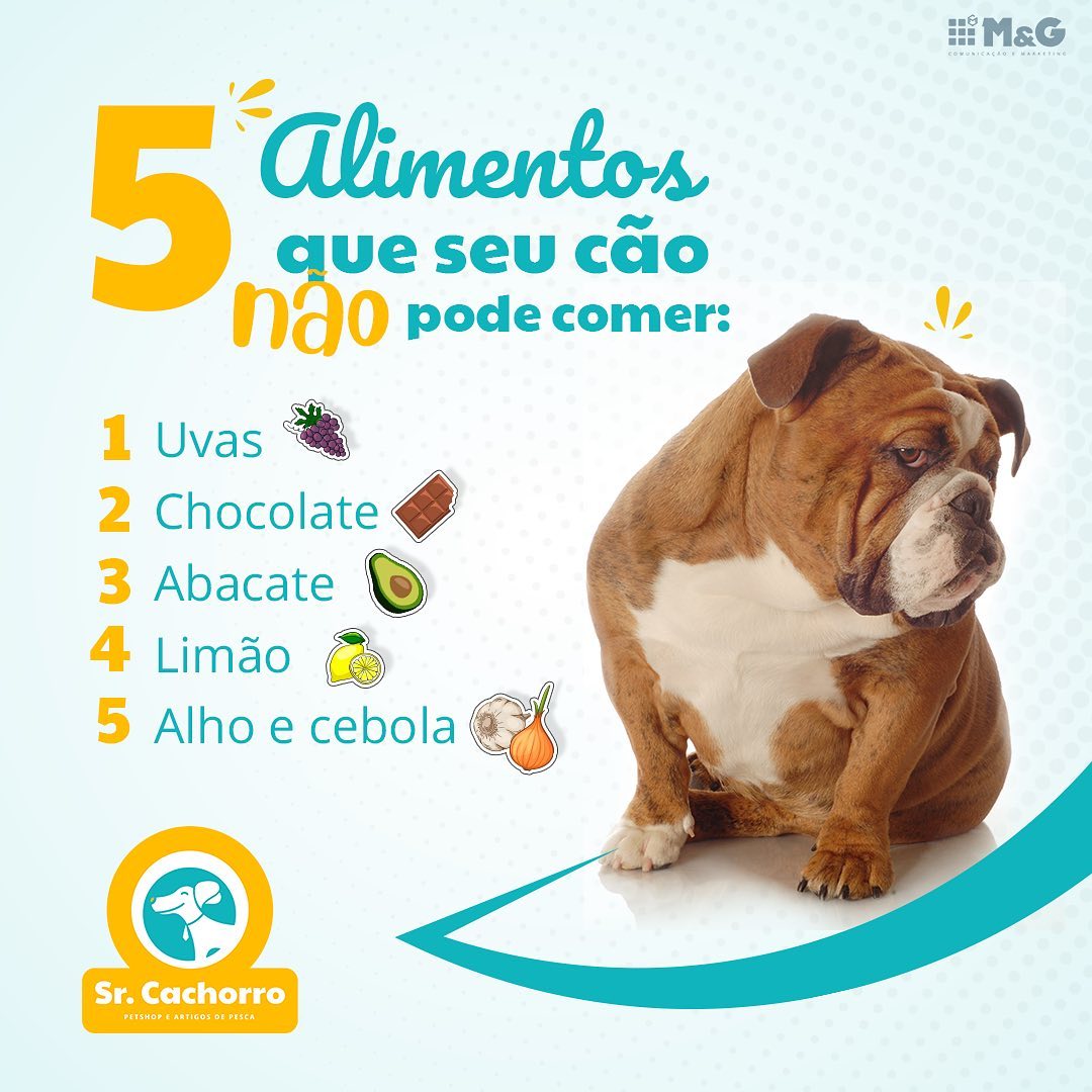 tratamento envenenamento alho cachorro