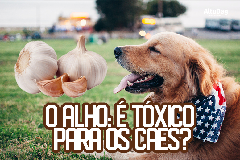 segurança alho para pets