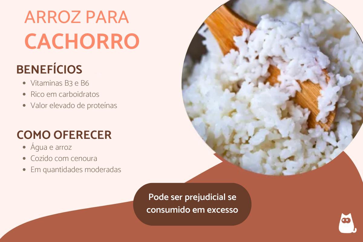 cachorro pode comer arroz e feijão temperado