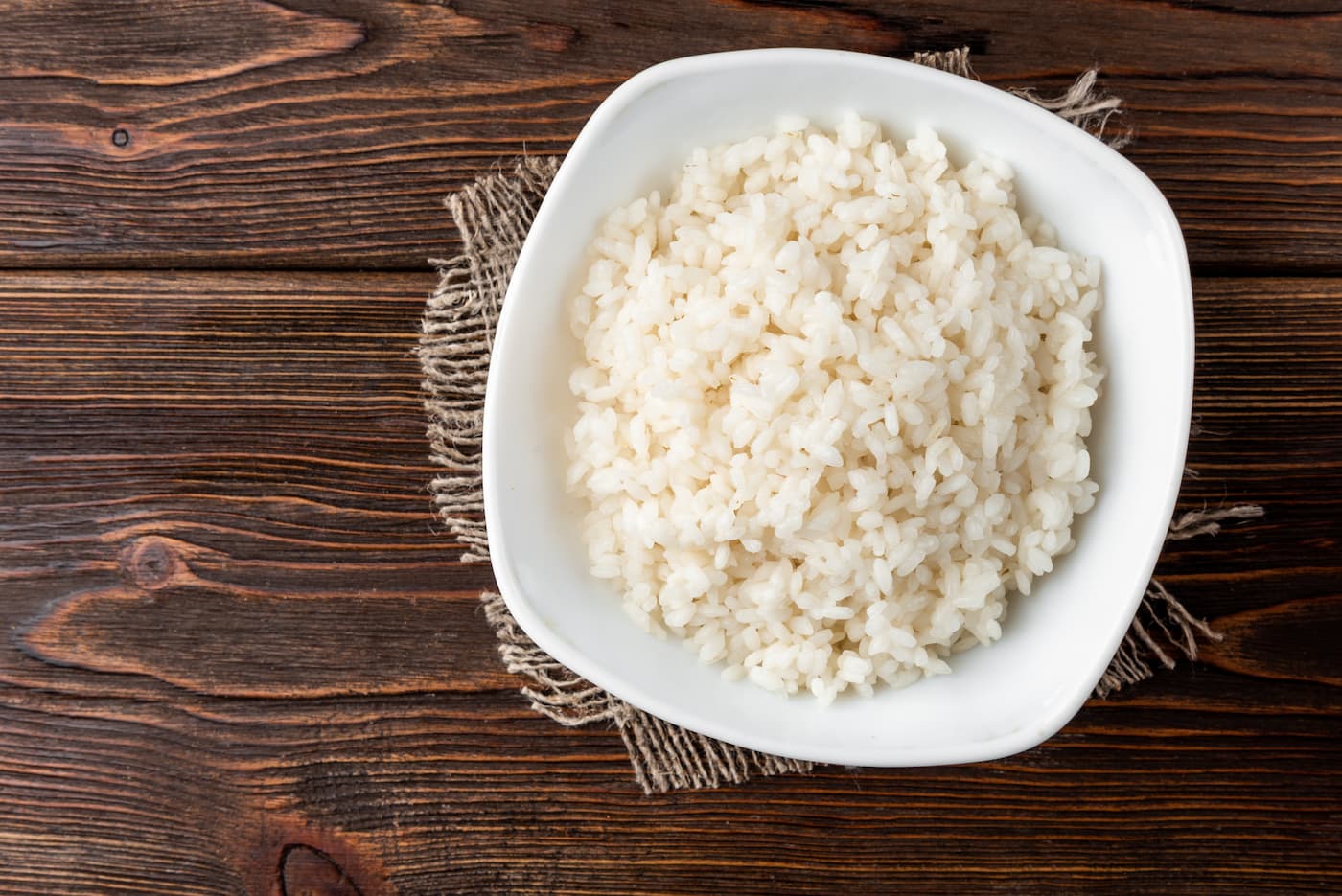 cachorro pode comer arroz e feijão temperado