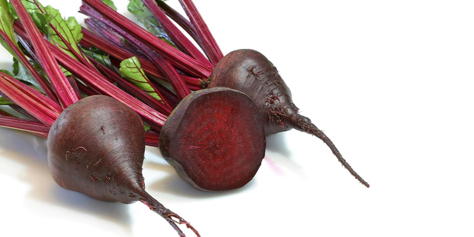 Os Perigos de Alimentar seu Cão com Restos de Comida Humana