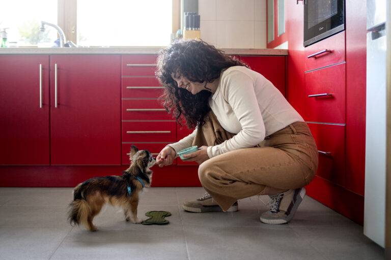Guia Completo de Frutas Seguras para Cães