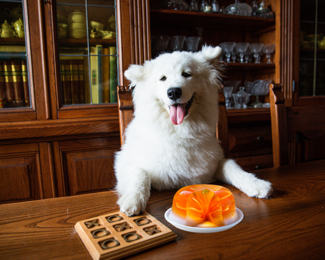 Receitas de Petiscos Saudáveis com Gelatina para Cães