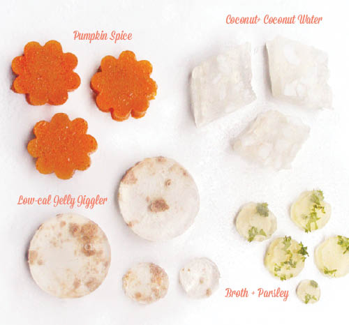 Xilitol e Outros Ingredientes Tóxicos para Pets: O Guia Completo