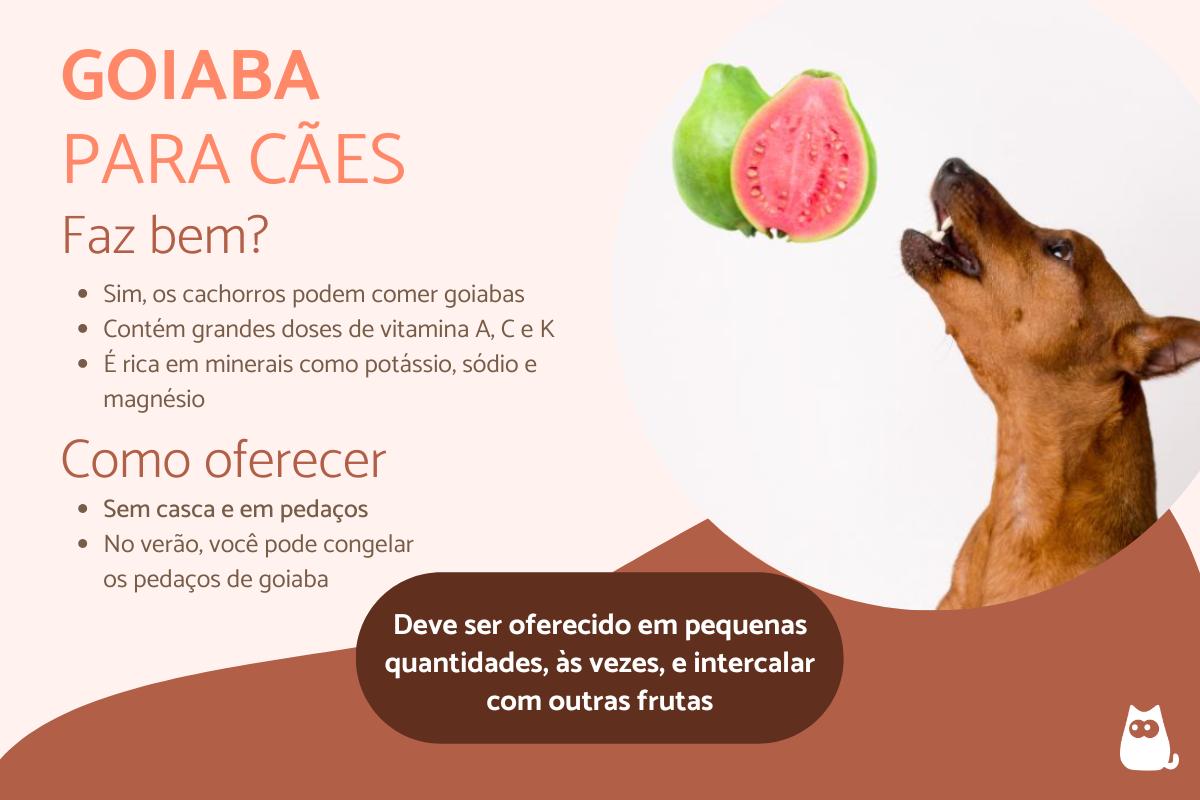 cachorro pode comer goiaba