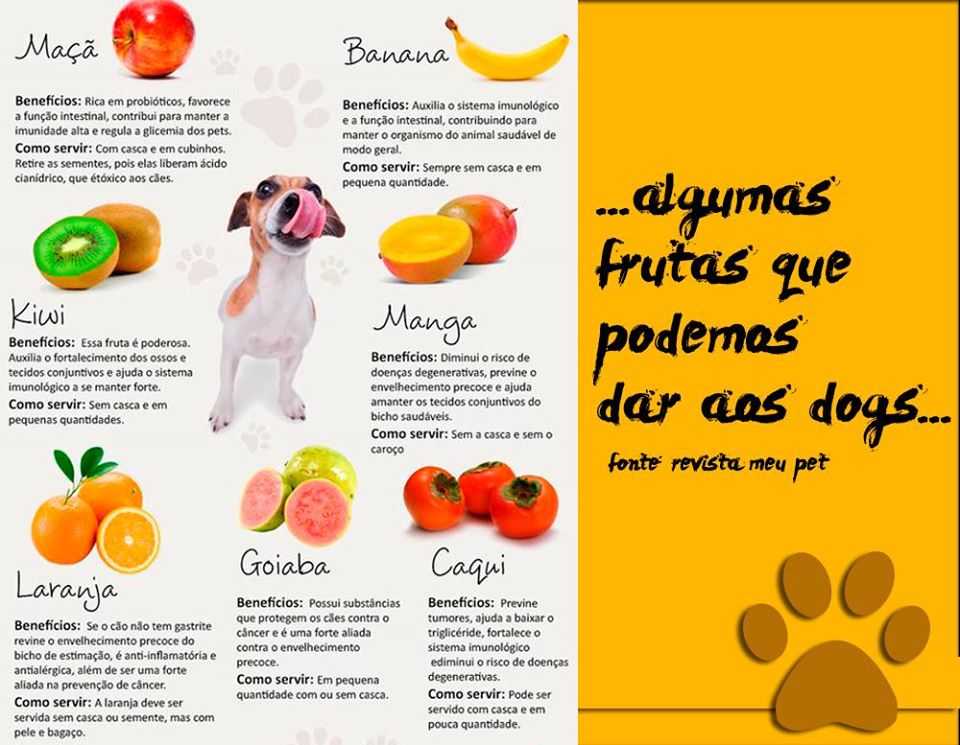 quantos pedaços de goiaba meu cachorro pode comer