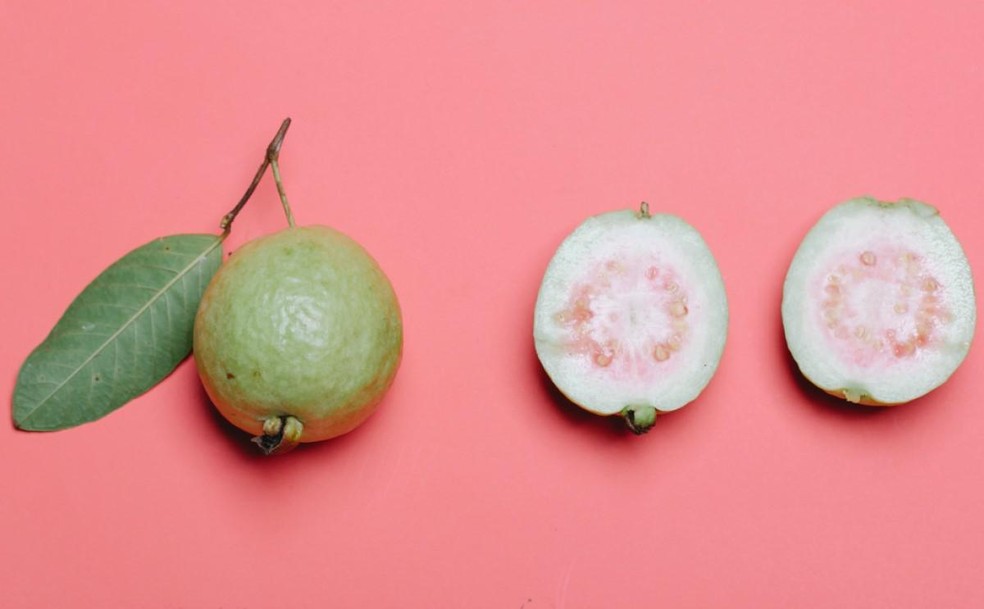 posso dar goiaba para meu cachorro?