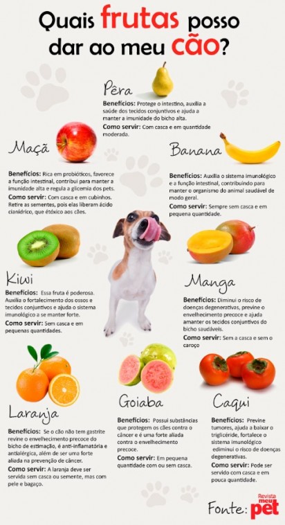 quantos pedaços de goiaba meu cachorro pode comer