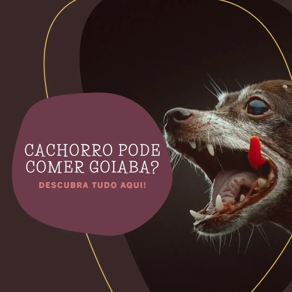 cachorro pode comer goiaba