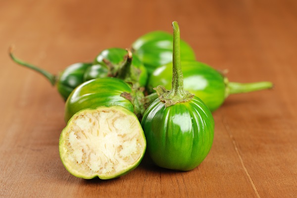 cachorro pode comer jiló