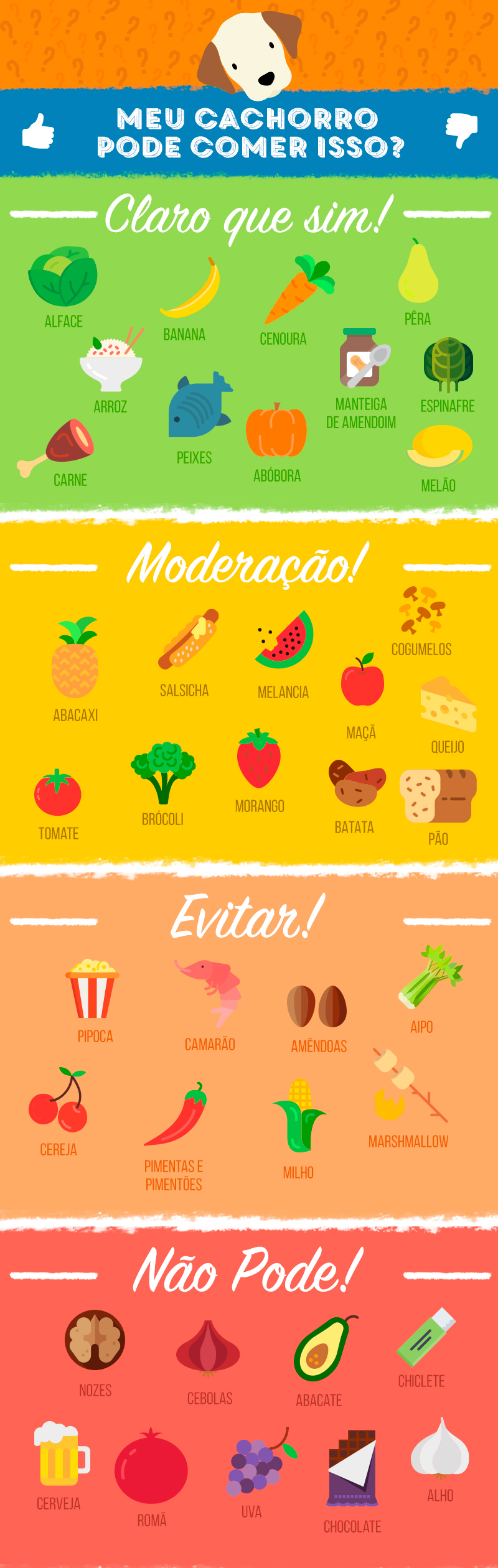 Sinais de intoxicação por alimentos em cães: O que observar?