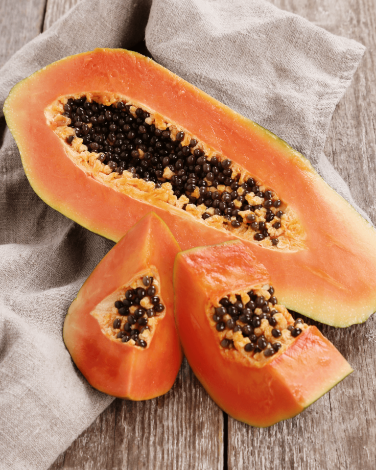 Receitas de petiscos caseiros e saudáveis para cachorros