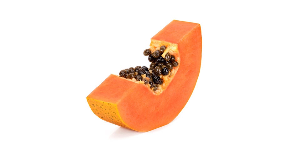 Como introduzir novos alimentos na dieta do seu pet