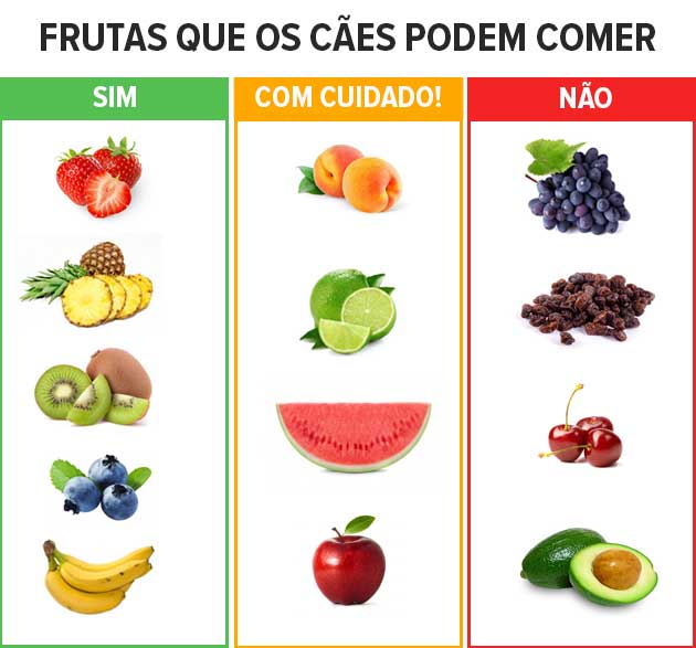 Como preparar petiscos naturais para seu cachorro
