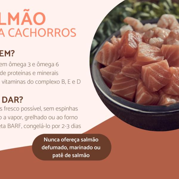 Pancreatite em cães: Causas