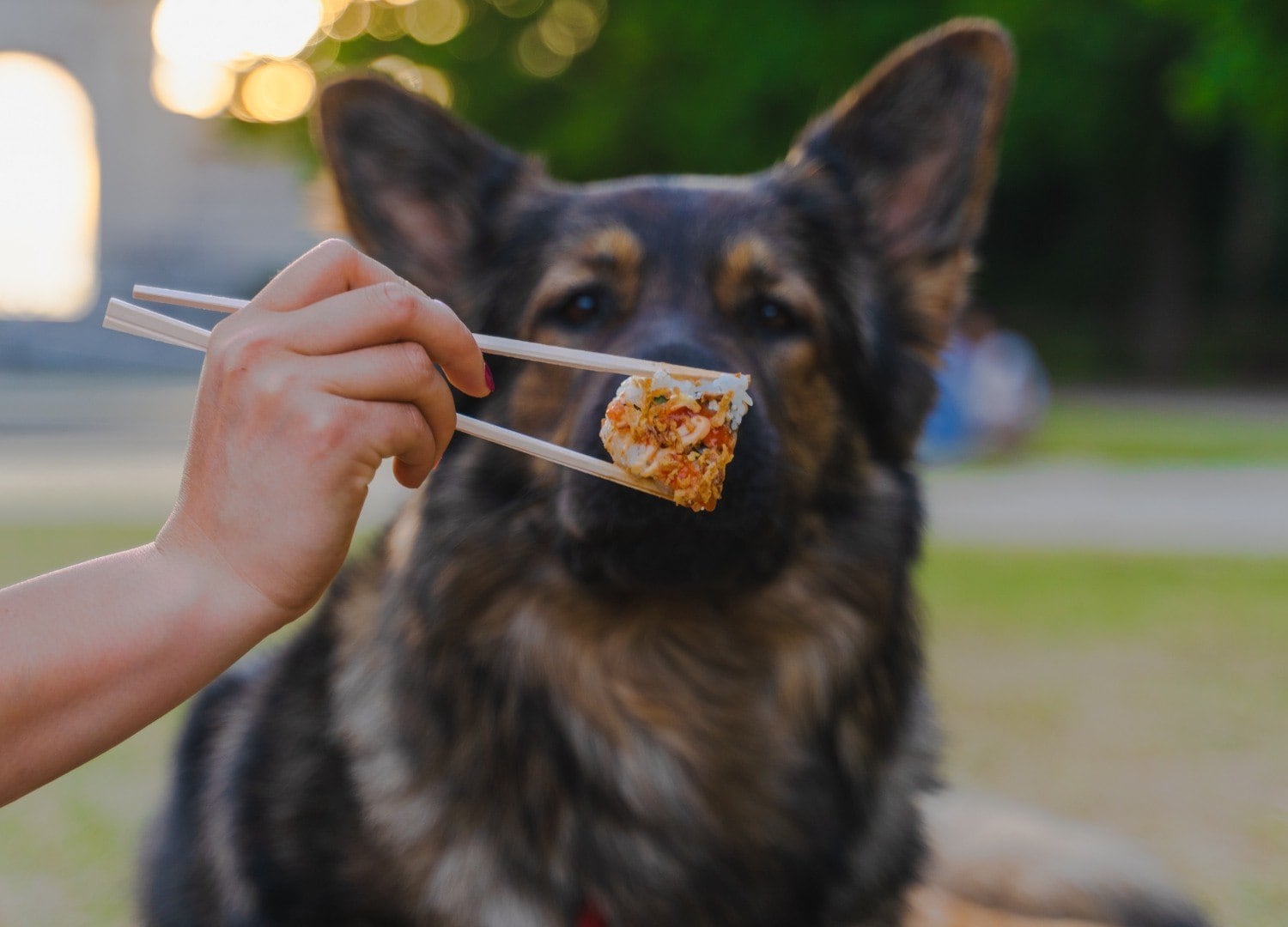 sintomas e prevenção alimentar