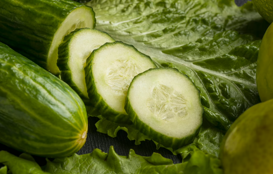 pepino faz mal para cachorro