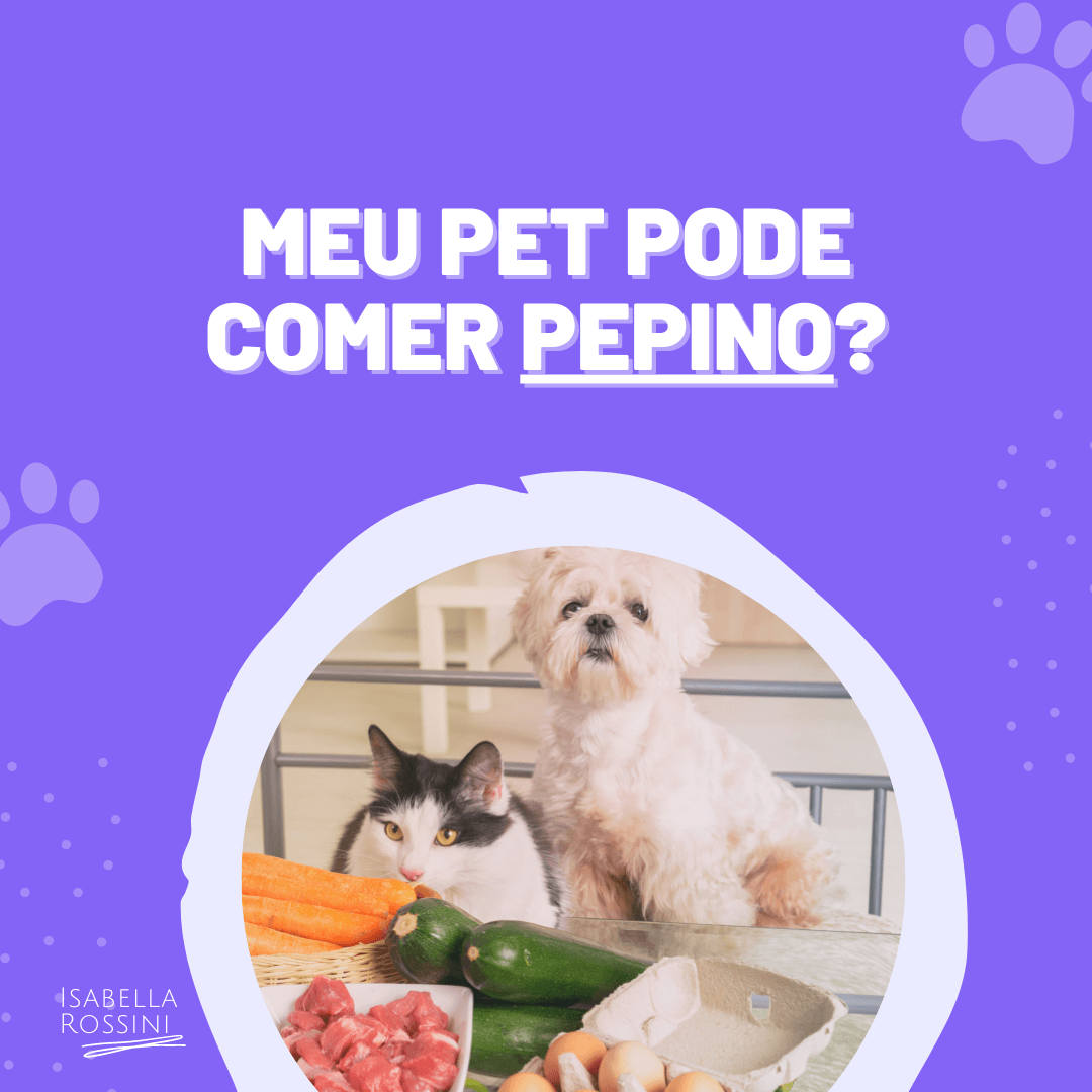 cachorro pode comer pepino