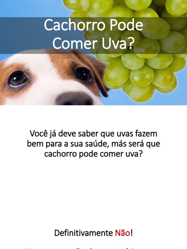 remédio para cachorro que comeu uva