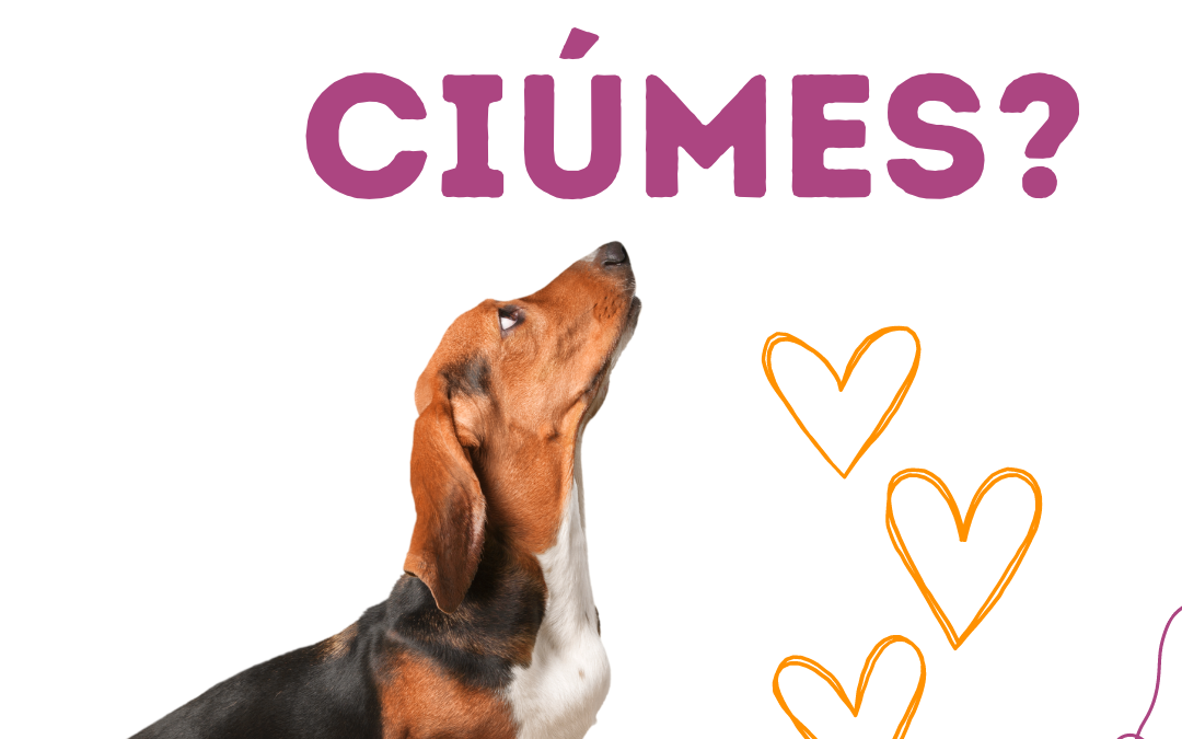 sinais de ciúmes caninos