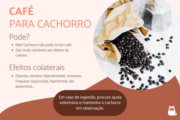 cachorro pode tomar café