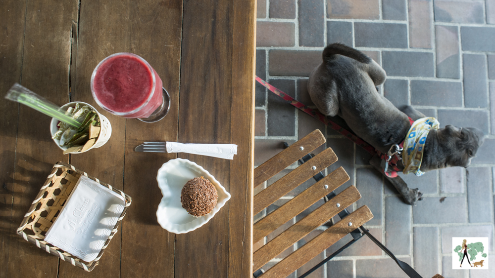 sinais de intoxicação por cafeína em cães