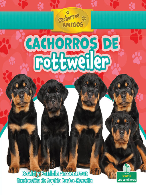 Saúde do Rottweiler: Prevenção e Tratamento das Doenças Mais Comuns