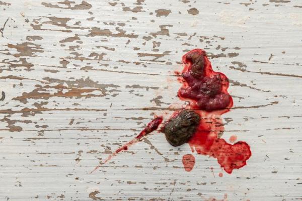 cachorro vomitando sangue